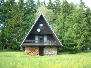 Holiday home Strazne/Riesengebirge 2326 Strazne